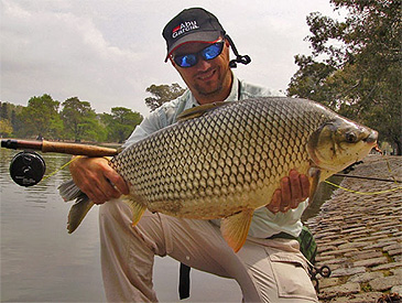 Record photograph for Prochilodus lineatus
